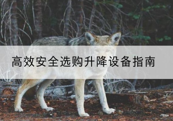 平房升降货梯厂家推荐-*安全选购升降设备指南