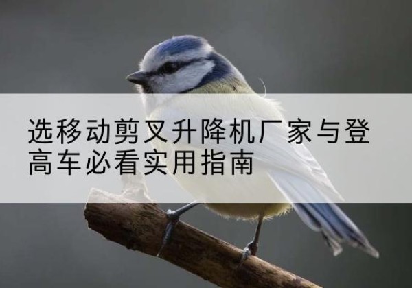 平房电动升降机厂家-选移动剪叉升降机厂家与登高车必看实用指南